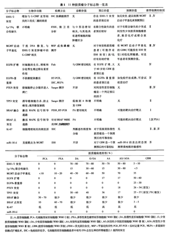 膠質(zhì)瘤