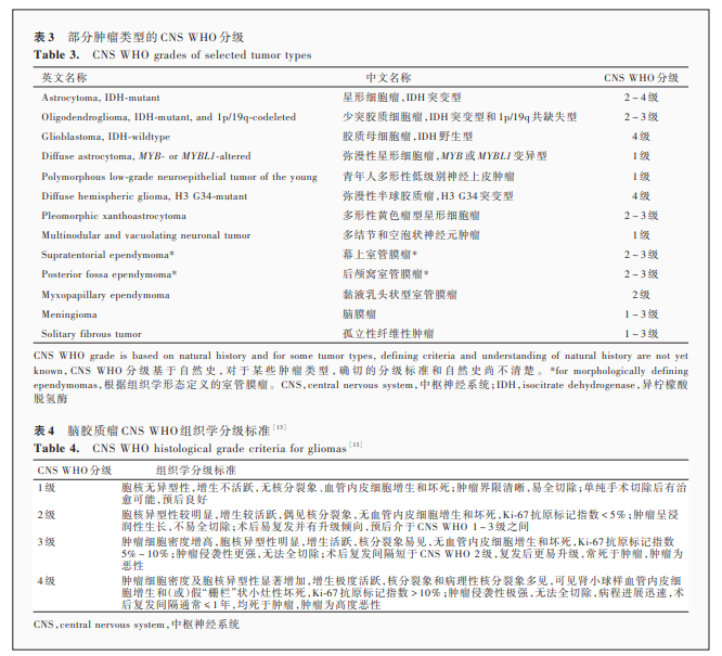 中樞神經(jīng)系統(tǒng)腫瘤分類