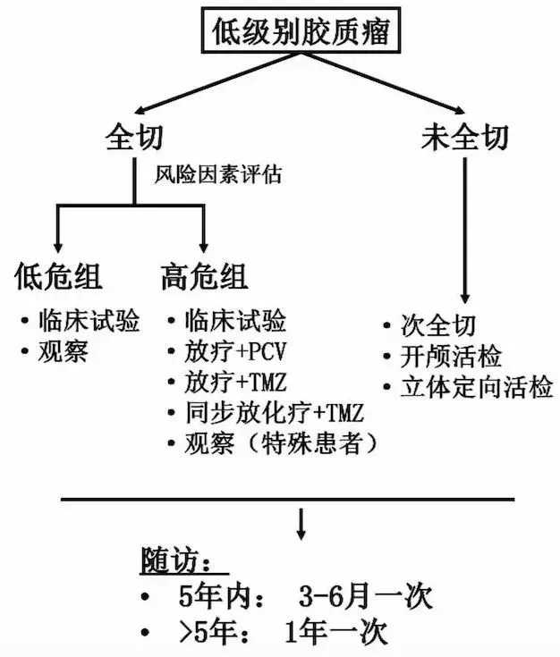 膠質(zhì)瘤如何科學(xué)治療？