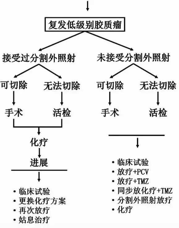 膠質(zhì)瘤如何科學(xué)治療？