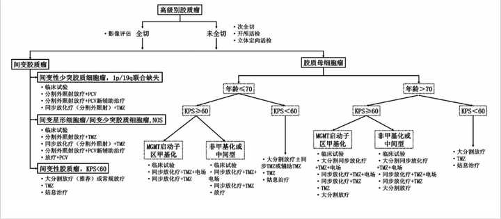 膠質(zhì)瘤如何科學(xué)治療？