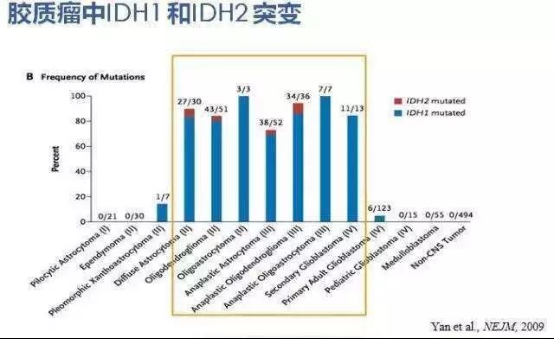 膠質(zhì)瘤IDH突變