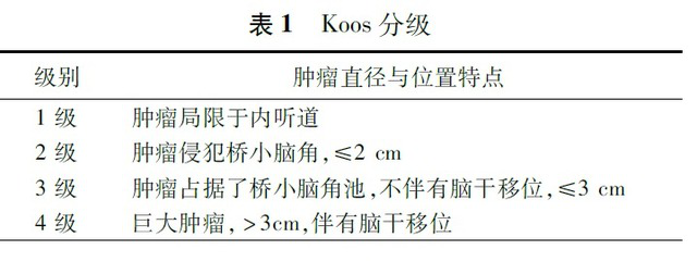 聽神經(jīng)瘤
