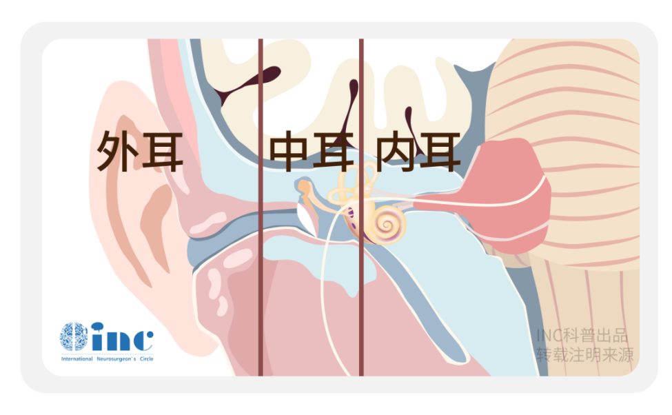 聽神經(jīng)瘤手術(shù)