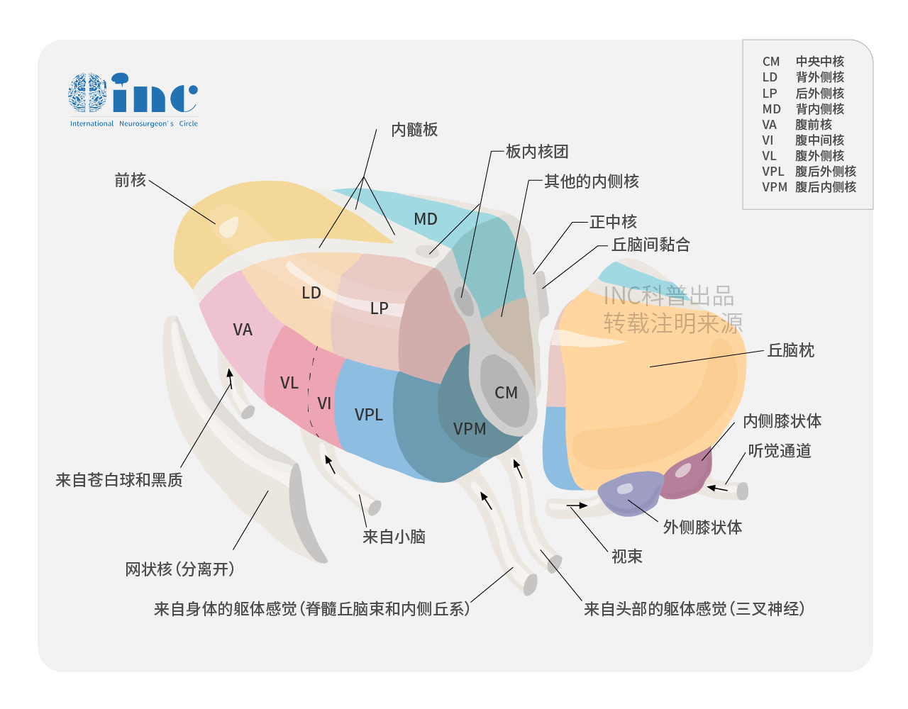 2022年膠質(zhì)瘤（腦膠質(zhì)瘤）全方位解讀