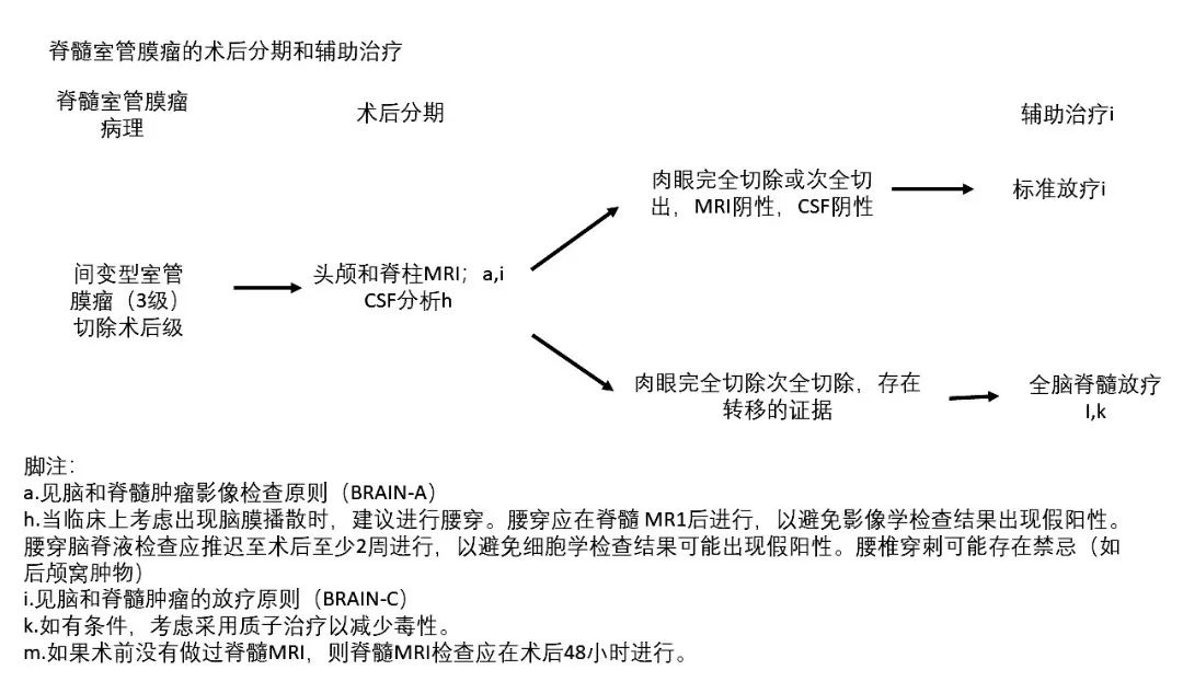 脊髓髓內(nèi)腫瘤