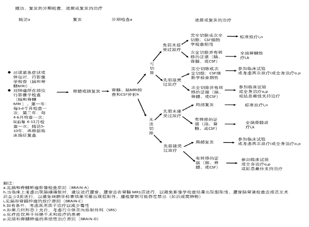脊髓髓內(nèi)室管膜瘤