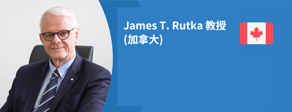 顯微神經(jīng)外科解剖學(xué)