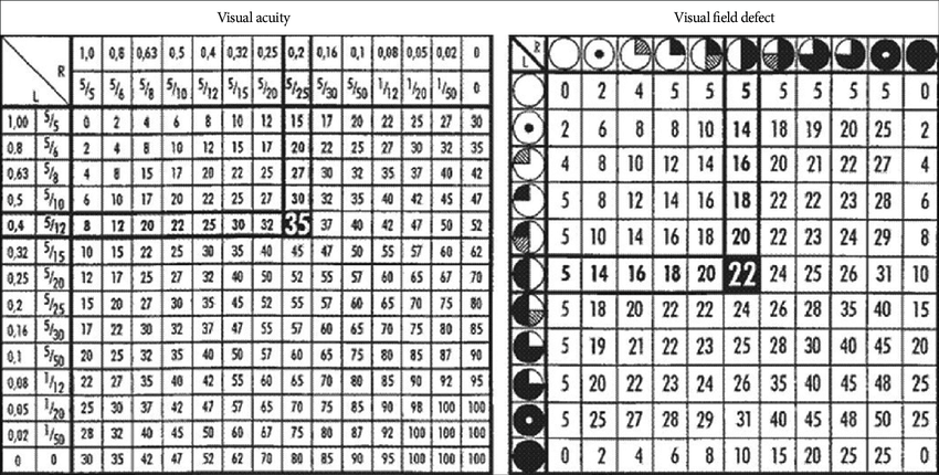 VIS（視力損害評分）