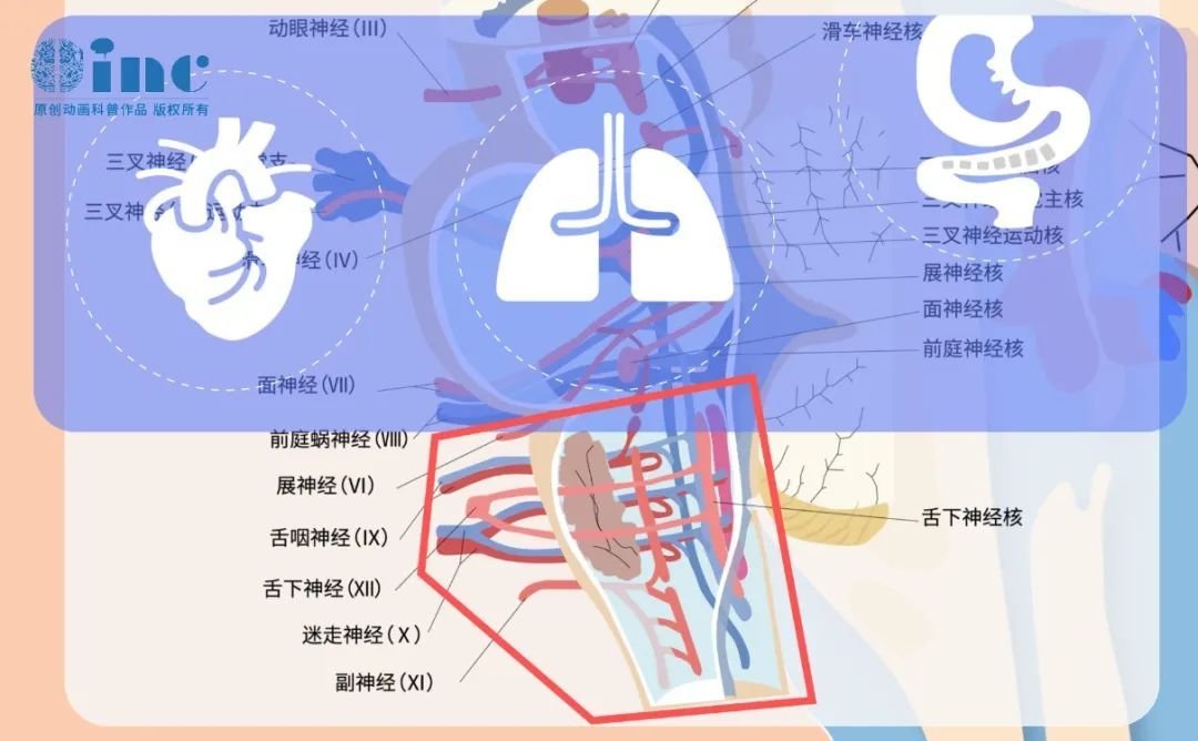 兒童腦腫瘤