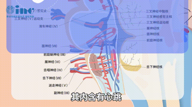 腦干-延髓海綿狀血管瘤案例
