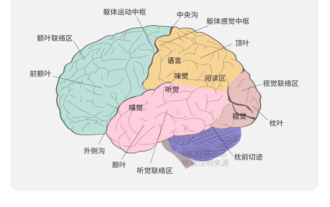 功能區(qū)