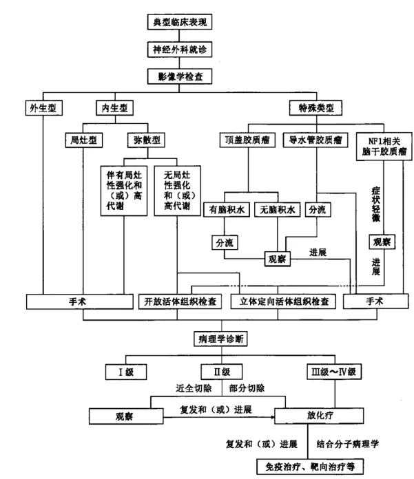 腦干膠質(zhì)瘤咨詢指南