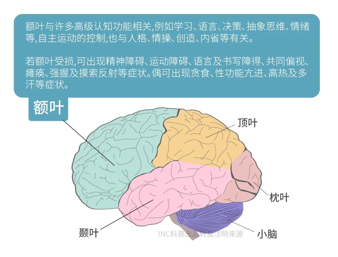 額葉切除術(shù)