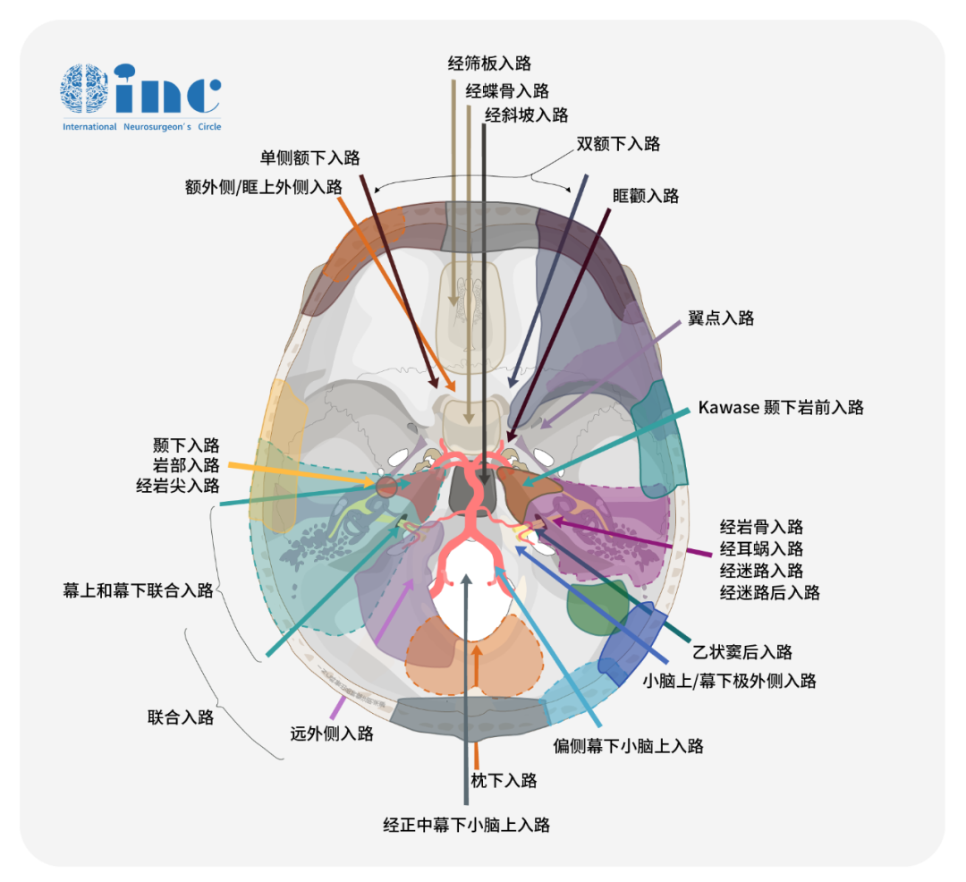 在神經(jīng)外科領(lǐng)域內(nèi)，可能很少有人比福教授將顯微鏡+內(nèi)鏡“雙鏡聯(lián)合”更好地運(yùn)用到這個(gè)復(fù)雜而神秘的區(qū)域了。