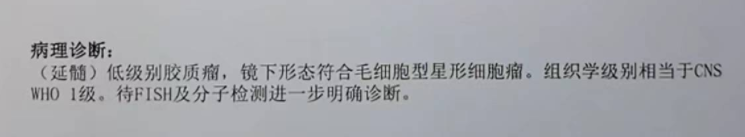 浩宇術后病理