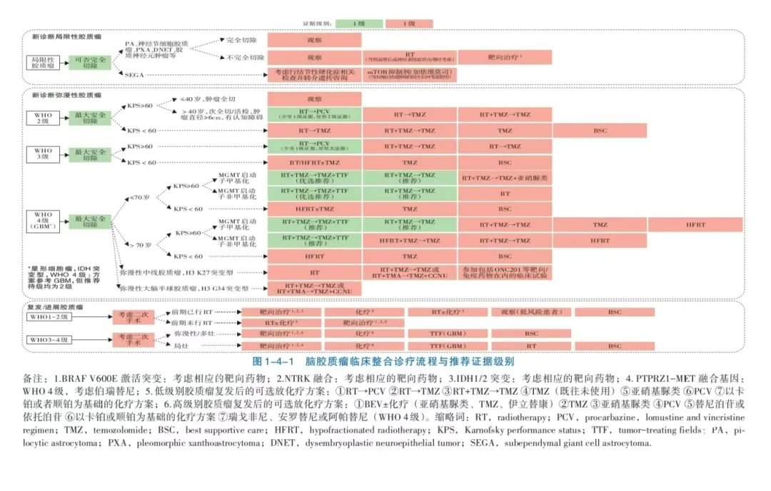 中國(guó)抗癌協(xié)會(huì)腦膠質(zhì)瘤整合診療指南（2024版）