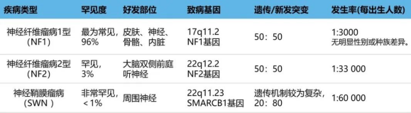 顱內(nèi)腦膜瘤在NF2患者中通常是多發(fā)的，且發(fā)病年齡較輕，大約45%至58%的患者會出現(xiàn)顱內(nèi)腦膜瘤，而脊柱腦膜瘤的發(fā)生率約為20%。在本研究中，NF2患者的預(yù)期壽命明顯縮短，長期生存率不佳，死亡時的平均年齡為40歲。
