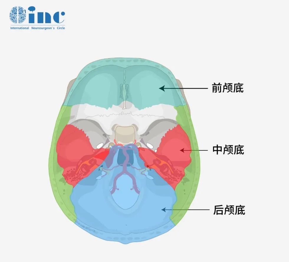顱底