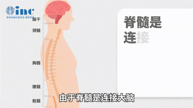 脊髓腫瘤