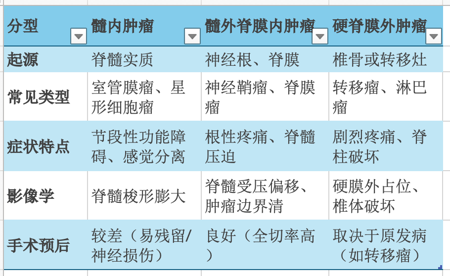 脊髓腫瘤的分型主要基于解剖位置（椎管內外、硬脊膜內外、脊髓內外），不同分型直接影響腫瘤的臨床表現(xiàn)、影像學特征及治療策略。