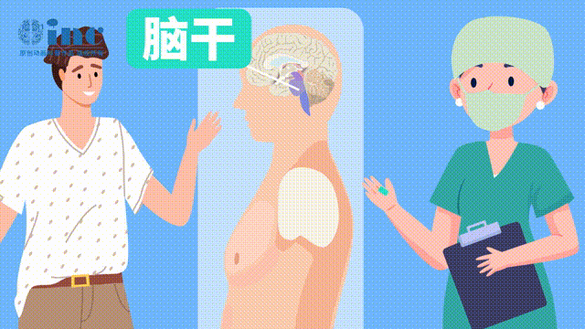 “禁區(qū)的手術(shù)”并沒那么容易，腦干部位深陷于腦的正中，無論哪個方向進入都需要歷經(jīng)艱險才能到達，到達后因為部位深而顯露視野小、操作空間小，手術(shù)稍有不慎將會導(dǎo)致腦干損傷，所以手術(shù)存在著很大的風(fēng)險和挑戰(zhàn)度。