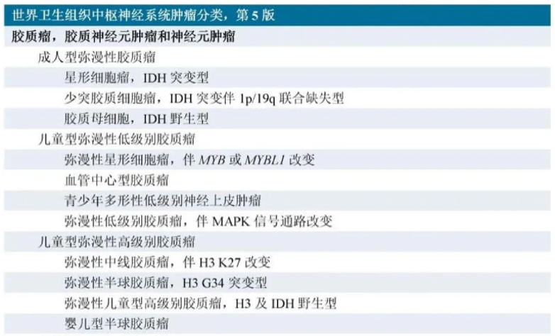2021年第5版《WHO中樞神經(jīng)系統(tǒng)腫瘤分類》根據(jù)組織學(xué)和分子病理學(xué)特點(diǎn)將兒童型膠質(zhì)瘤單獨(dú)分為兩大類，即兒童型彌漫性低級(jí)別膠質(zhì)瘤和兒童型彌漫性高級(jí)別膠質(zhì)瘤。