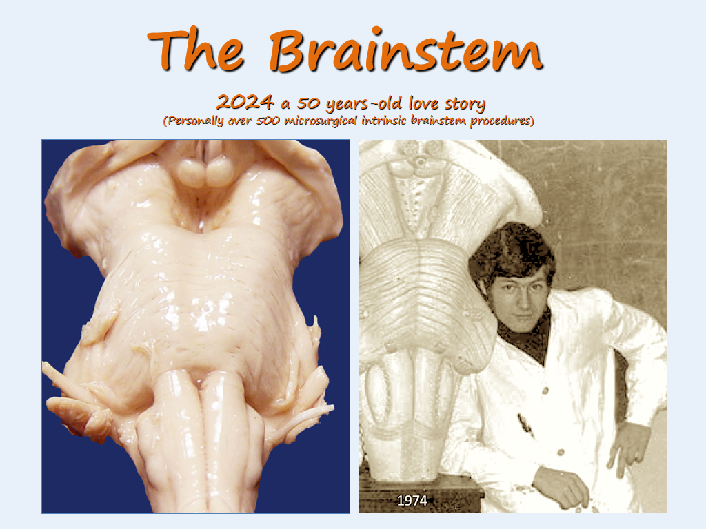 1974-2024，巴教授攜手腦干50年的“l(fā)ove story”。點(diǎn)擊圖片詳細(xì)了解