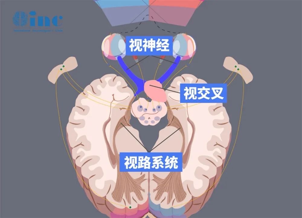 視路系統(tǒng)