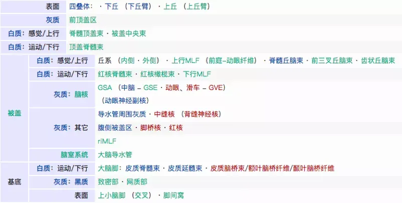 腦干中腦部位的解剖結(jié)構(gòu)