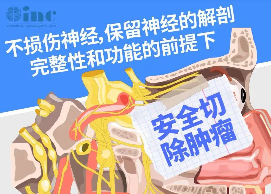 不損傷神經(jīng)，保留神經(jīng)的解剖完整性和功能性