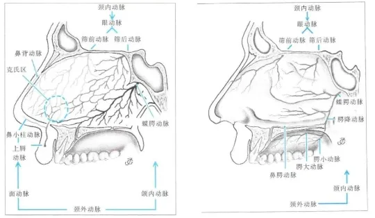 脊索瘤可以全切不復(fù)發(fā)嗎？