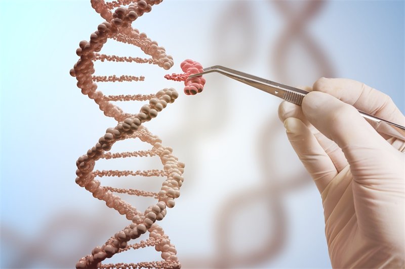 得了惡性腦膜瘤怎么辦？間變型腦膜瘤診療指南
